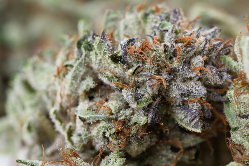 Compliant THCa Flower