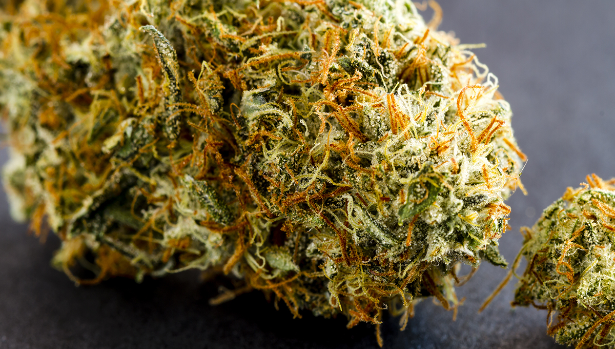 Sweet THCa Flower